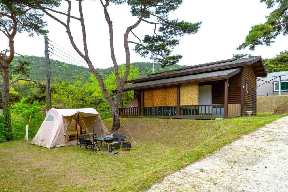 Boryeong Pinovista Pet Allowed Pension Exterior foto